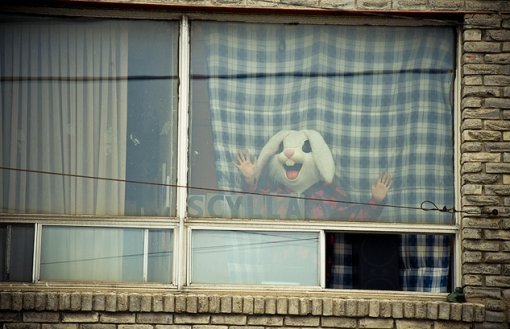 출처= 커뮤니티 게시판