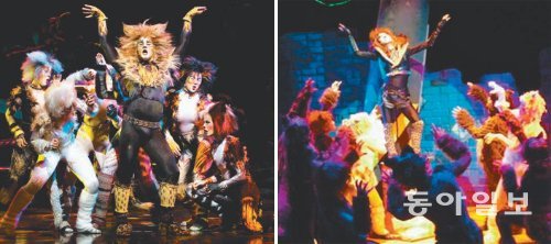 2007년 브로드웨이 뮤지컬 ‘캣츠’ 내한공연(왼쪽 사진)과 국내 공연 중인 뮤지컬 ‘어린이캣츠’의 한 장면. 설앤컴퍼니·뮤다드 제공