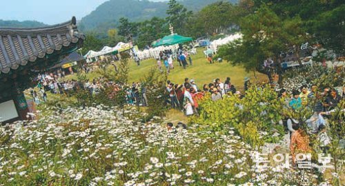 3일 세종시 장군면 산학리 영평사 경내를 가득 메운 관람객들이 구절초 꽃이 뒤덮은 산사 곳곳을 둘러보고 있다. 영평사 제공