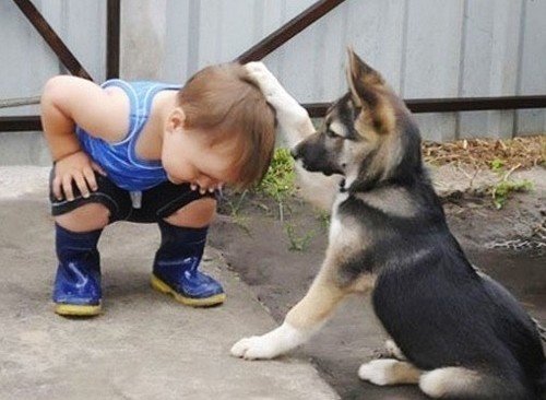 사진=온라인 커뮤니티 캡처