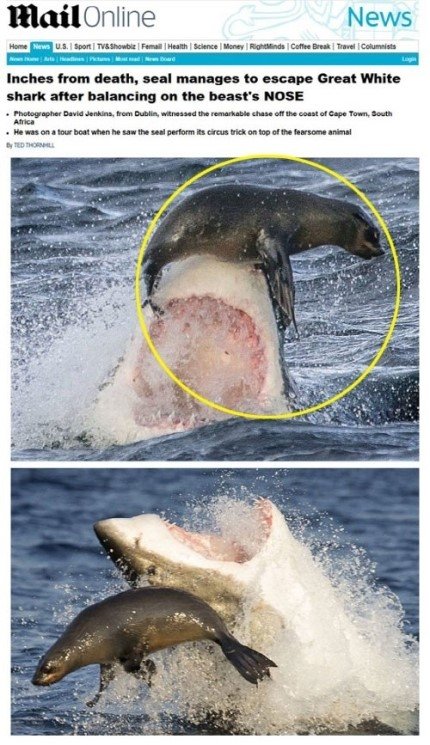 출처= 영국 데일리 메일