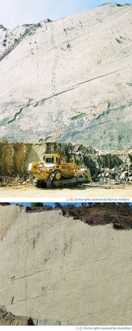 출처= 커뮤니티 게시판