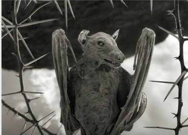 출처= 커뮤니티 게시판