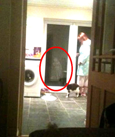 사진=온라인 커뮤니티 캡쳐