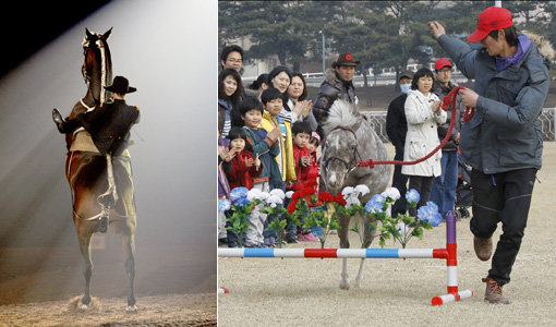 27일 서울경마공원 ‘페가수스 페스티벌’에서는 국내에서 처음 공연하는 ‘말 갈라쇼’와 말과 함께 하는 놀이마당인 ‘말 운동회’ 등을 즐길 수 있다. 프랑스 국립 승마학교의 말 갈라쇼 장면(왼쪽)과 서울경마공원 포니랜드를 방문한 고객들이 미니마의 공연을 관람하는 모습. 사진제공｜한국마사회