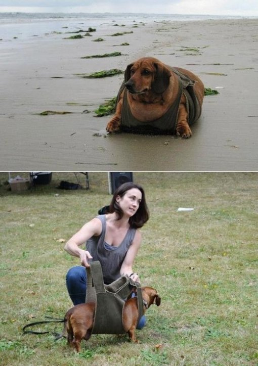 출처= 영국 데일리메일