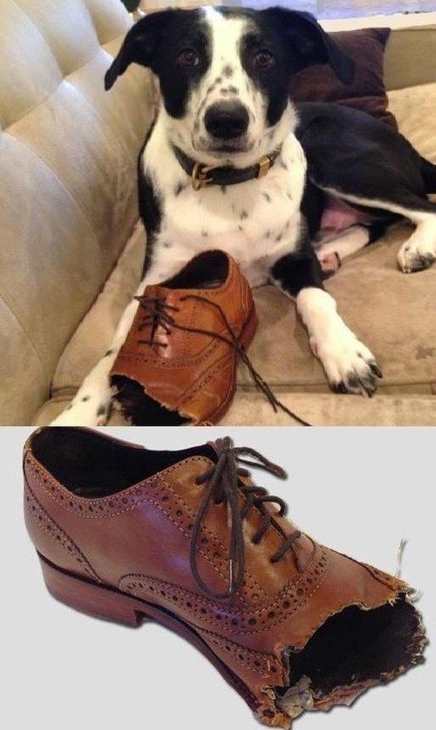 사진=온라인 커뮤니티 캡쳐