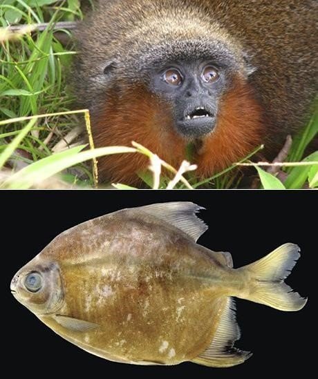 출처= 커뮤니티 게시판