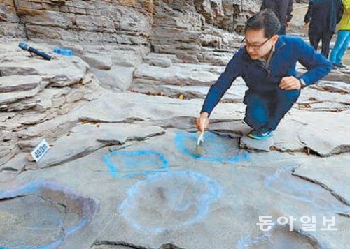 울산 반구대 암각화 주변에서 발굴된 공룡 발자국화석을 국립문화재연구소 관계자가 29일 공개하고있다. 경상일보 제공