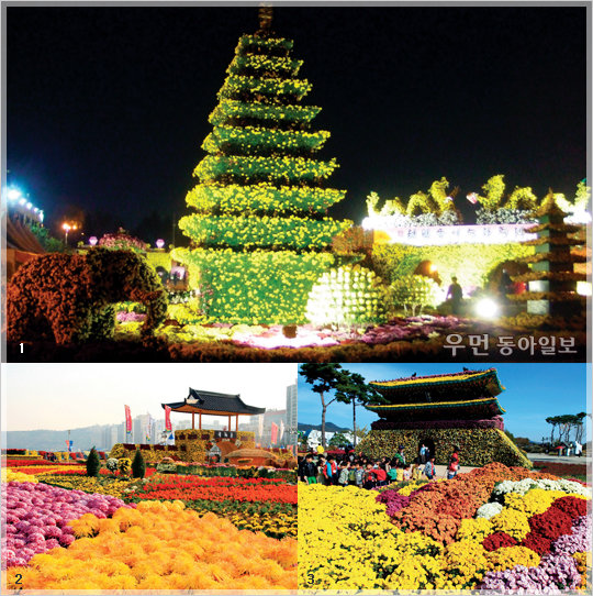 1 익산 천만송이국화축제  2 창원 가고파국화축제  3 함평 대한민국 국향대전