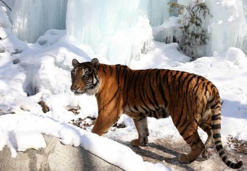 사진=동아일보 DB