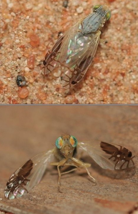 출처= 커뮤니티 게시판