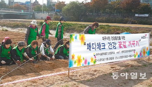 지난달 29일 한국건강관리협회 직원과 협회 어머니사랑 봉사단이 대구에서 ‘메디체크 건강 꽃길 가꾸기’ 행사를 갖고 있다. 한국건강관리협회 제공