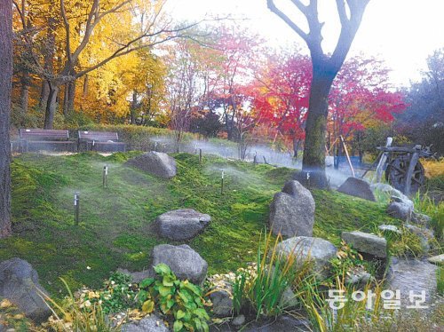 25일부터 일반에 공개되는 서울 남산 이끼정원 전경. 파릇파릇한 이끼와 실개천이 어우러져 신비로운 느낌을 준다. 서울시 제공