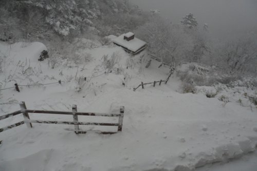 출처= 지리산 국립공원 제공