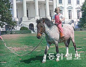 백악관 뜰에서 조랑말 ‘마카로니’를 타고 즐거운 시간을 보내고 있다.
