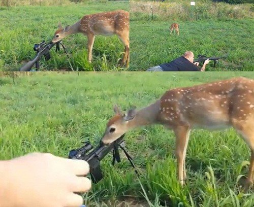 출처= 커뮤니티 게시판