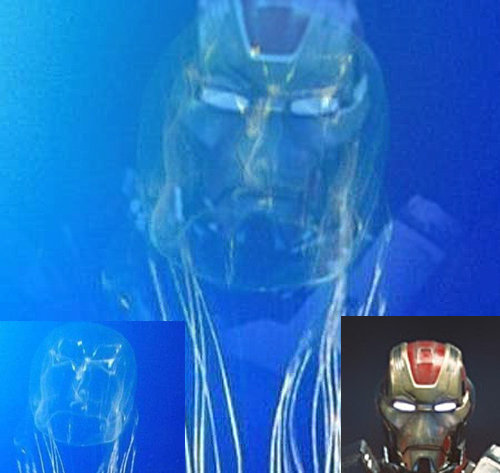 사진=온라인 커뮤니티 캡쳐