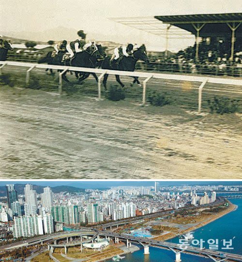 조선시대 왕의 사냥터이자 군마를 키우던 목장이었던 뚝섬에는 한국 최초의 경마장이 들어서기도 했다(왼쪽 사진). 오른쪽 사진은 뚝섬 한강공원 전경. 서울시 제공
