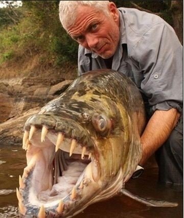 출처= 커뮤니티 게시판