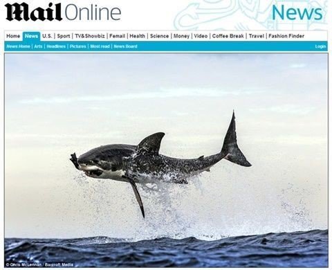 출처= 영국 데일리메일