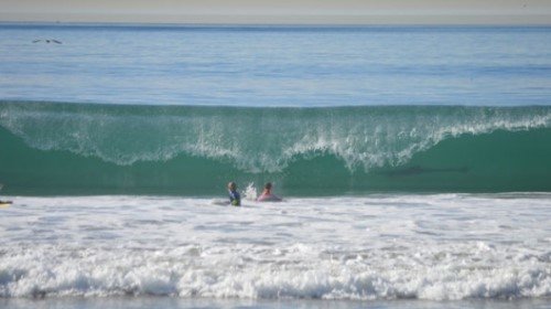 출처= 커뮤니티 게시판