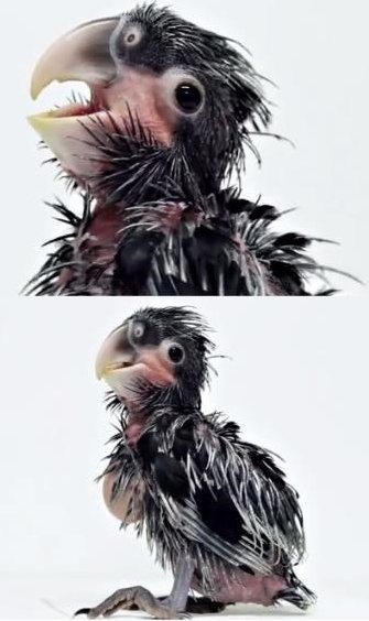 출처= 커뮤니티 게시판