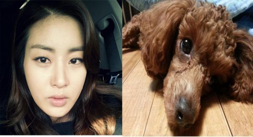 사진제공=강소라 트위터