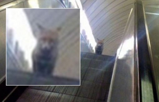 사진=온라인 커뮤니티 캡쳐