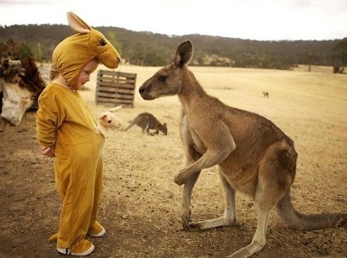 출처= 커뮤니티 게시판