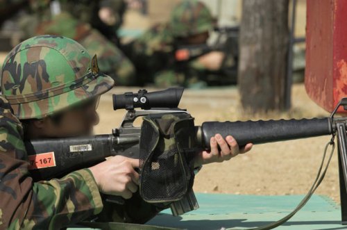동원예비군에게는 현역 시절 쓰던 K-2와 비슷한 M-16소총이 지급된다. 그러나 일반 예비군에게는 고물 카빈 소총이 지급된다.