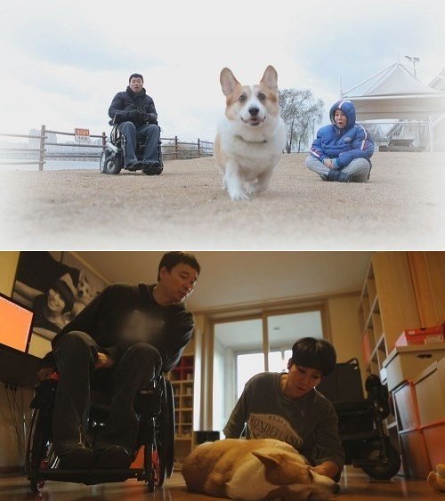 SBS  ‘TV 동물농장’ 화면 촬영