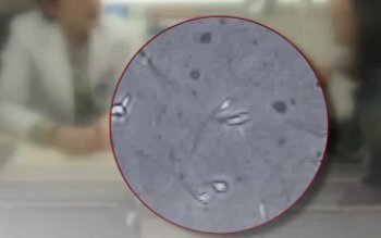 채널A ‘종합뉴스’ 방송화면 캡쳐.