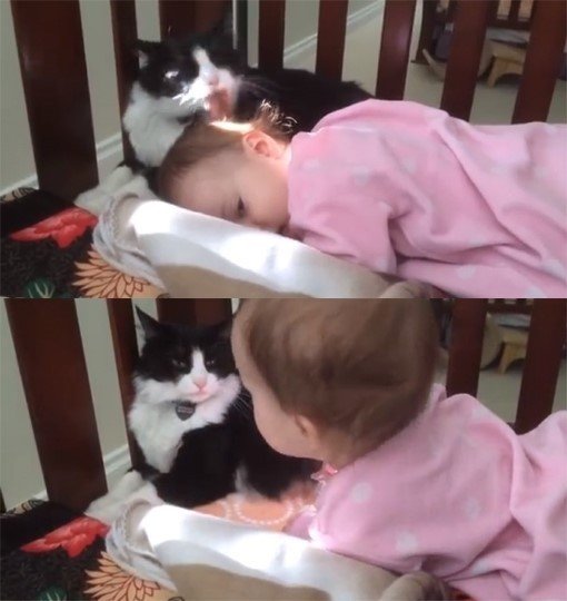 출처= 커뮤니티 게시판