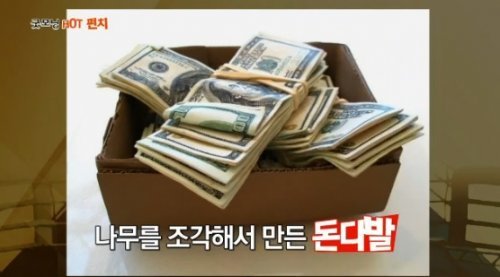 '나무조각 돈다발' 사진 출처 = MBN 영상캡쳐