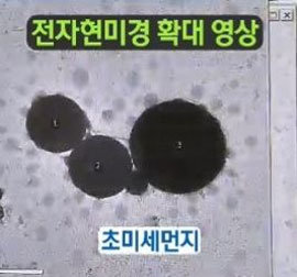 출처=sbs 뉴스 캡처