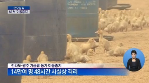 사진=AI 이동중지명령, 채널A화면 캡처