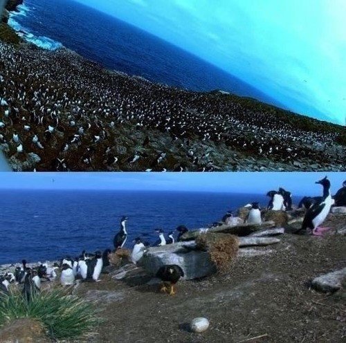 사진=온라인 커뮤니티 캡쳐