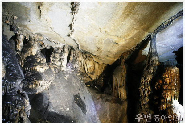 천연기념물로 지정된 백룡동굴에는 수억 년의 신비를 간직한 석순, 종유석, 석주 등 다양한 기형 생성물이 성장하고 있다.