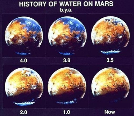 출처= 커뮤니티 게시판