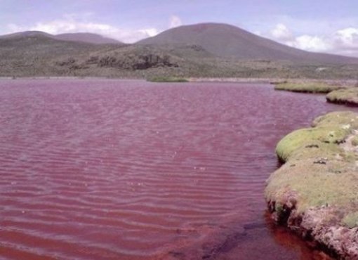 중국 미스터리 호수, 갑자기 붉게 변해… “혹시 적조현상 아닐까?”｜동아일보