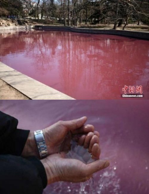 중국 미스터리 호수
사진= 중신망