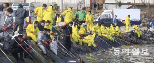 시커먼 기름 아무리 걷어내도… 설날인 1월 31일 원유 유출 사고가 발생한 전남 여수 신덕마을 해안에서 2일 경찰, 공무원, 군인, 자원봉사자들이 흡착포와 뜰채로 방제작업을 펼치고 있다. 신덕마을은 135어가가 양식장 120.8ha에 톳, 미역, 바지락, 개조개 등을 키우고 있어 원유 유출에 따른 피해가 우려된다. 여수=박영철 기자 skyblue@donga.com