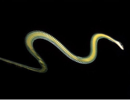 출처= 커뮤니티 게시판