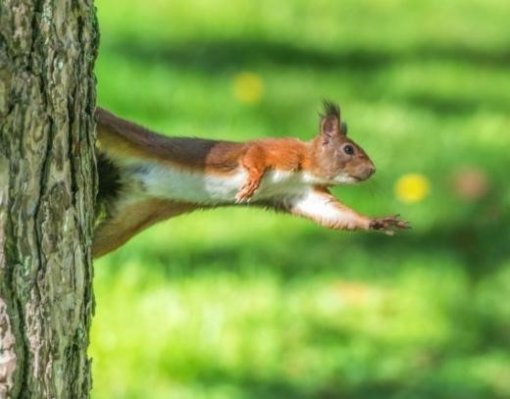 출처= 영국 데일리 메일