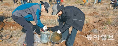 지난해 9월 몽골의 불간 지역에서 인천시 관계자들과 현지 주민들이 함께 나무를 심고 있다. 시는 5월 이 지역에 1만 그루를 추가로 심을 예정이다. 인천시 제공