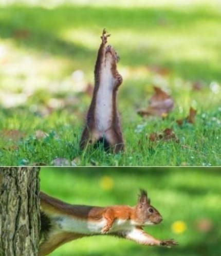 출처= 영국 데일리 메일