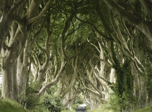 사진=온라인 커뮤니티 캡쳐