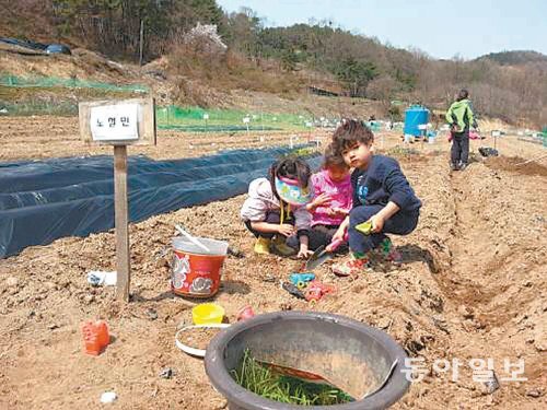 주말농장을 찾은 어린이들이 이름표를 붙인 텃밭에 씨앗을 심고 있다. 인천지역 공공기관이 분양하는 주말농장은 가격이 저렴하고 농작물 재배법도 알려주기 때문에 누구나 농사를 지을 수 있다. 동아일보DB