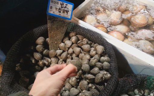 ‘이영돈PD의 먹거리 X파일’은 버젓이 ‘벌교산’이라고 판매대에 올려진, 값싼 일본산 참꼬막의 유통경로를 추적한다. 사진제공｜채널A